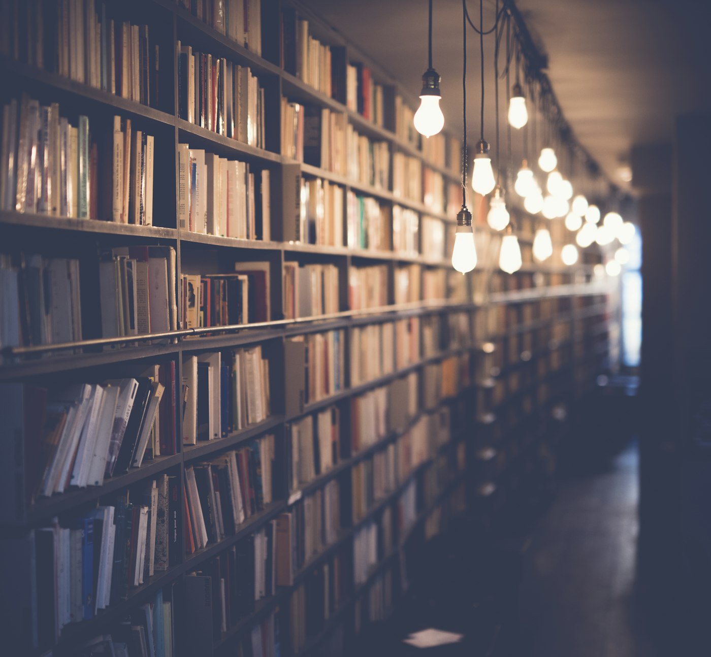 Proofreading and manuscript polish